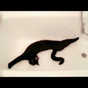 Meet your Posher, Han sol